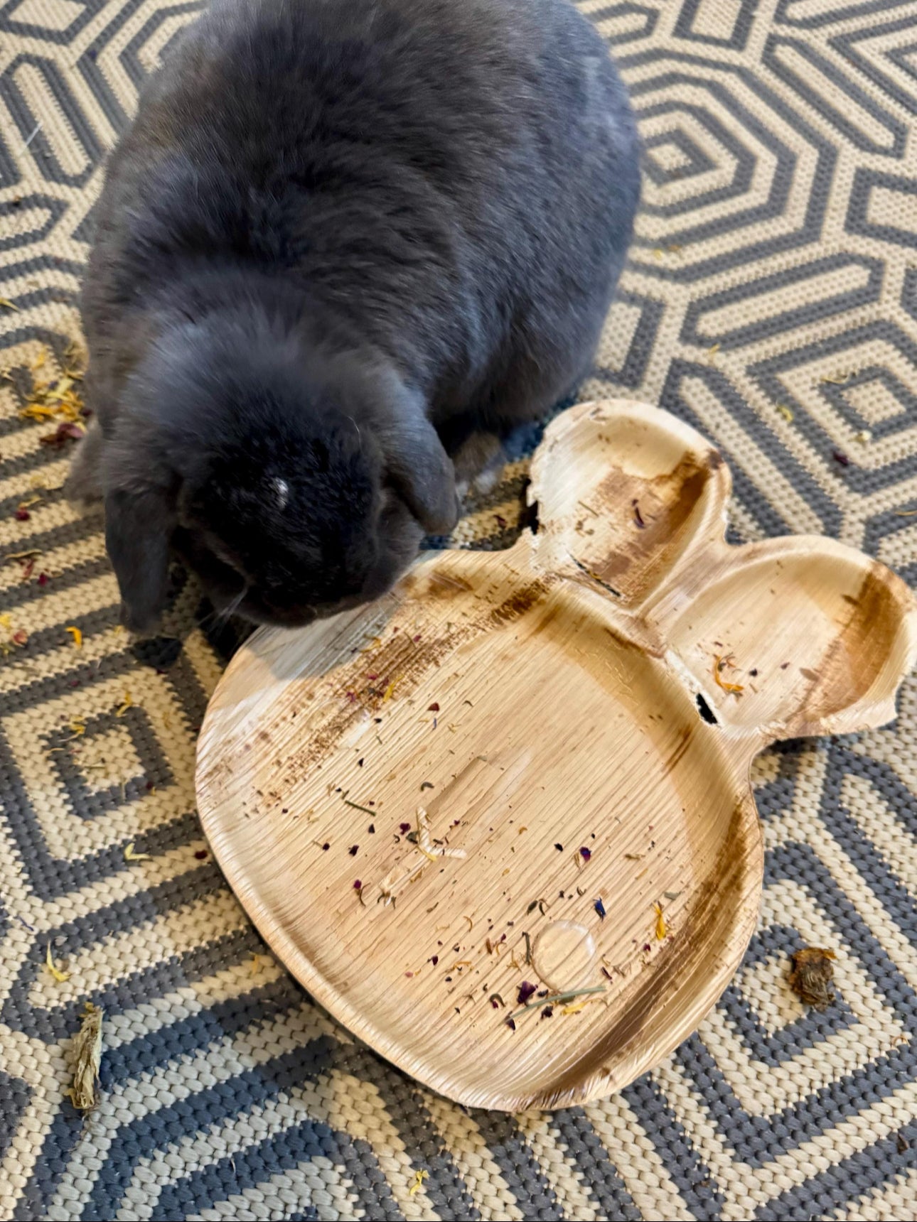 BUNNY PALMLEAF Plate