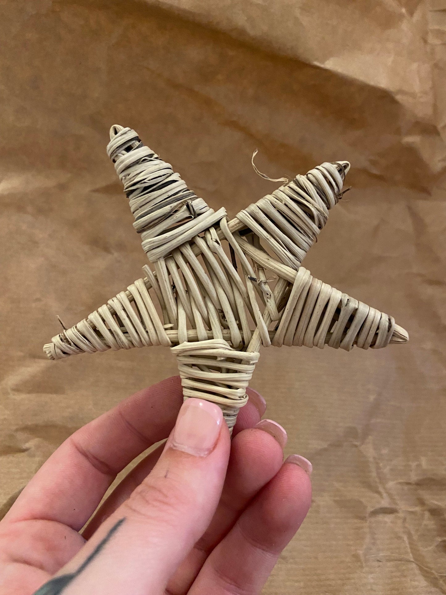 Vine Star Chew Toy