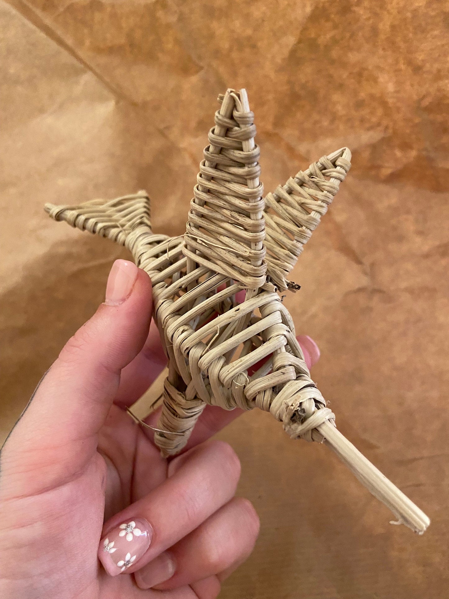 Vine Dolphin Chew Toy