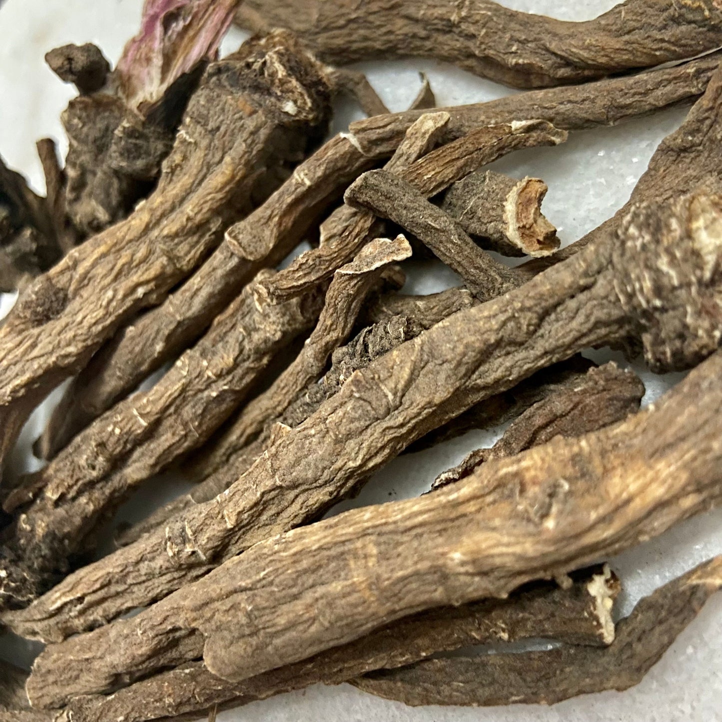 Thick Dandelion Roots