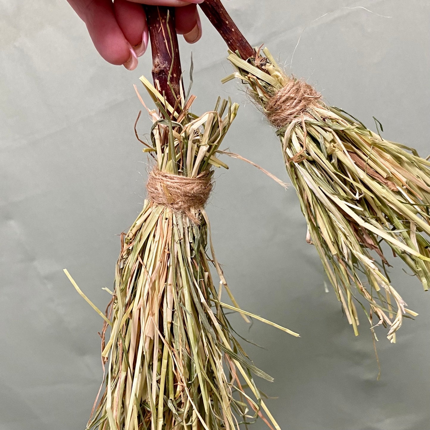 Witch Broom Chew