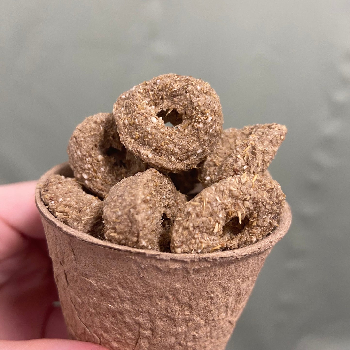 BARLEY RINGS