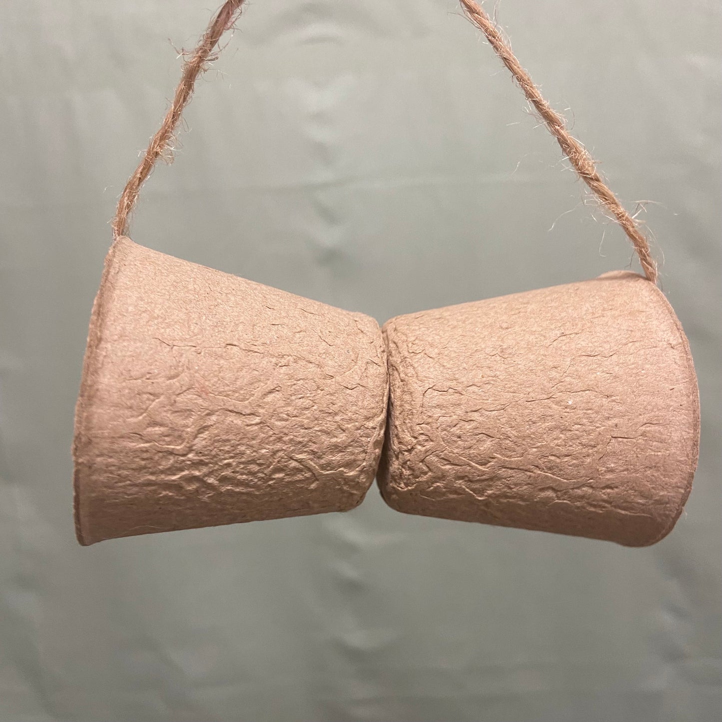 Homemade Barley Cup Toss Toy