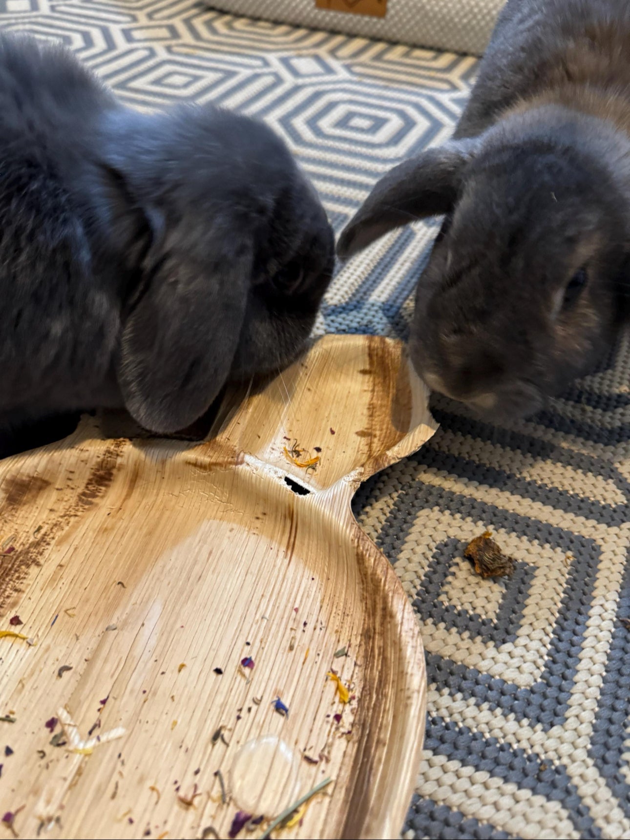 BUNNY PALMLEAF Plate