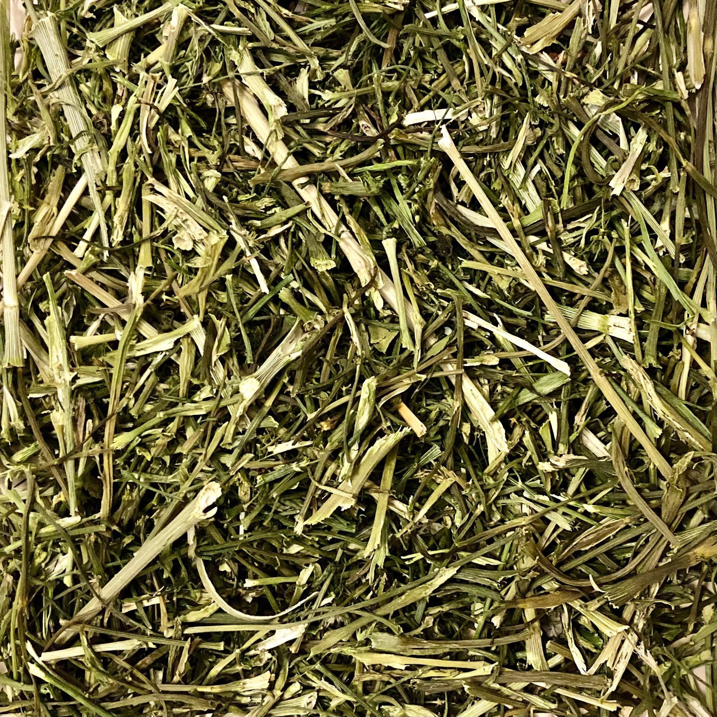 Various Aromatic Stalks and Leaves