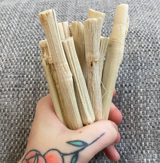 Sweet Bamboo Sugar Cane Chew