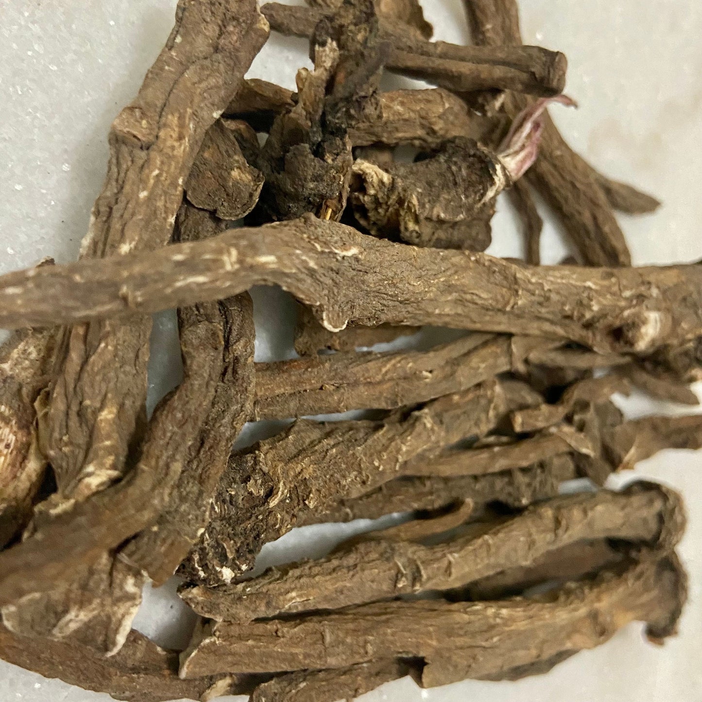 Thick Dandelion Roots