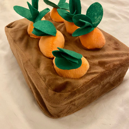 Carrot Puzzle Slow Feeder