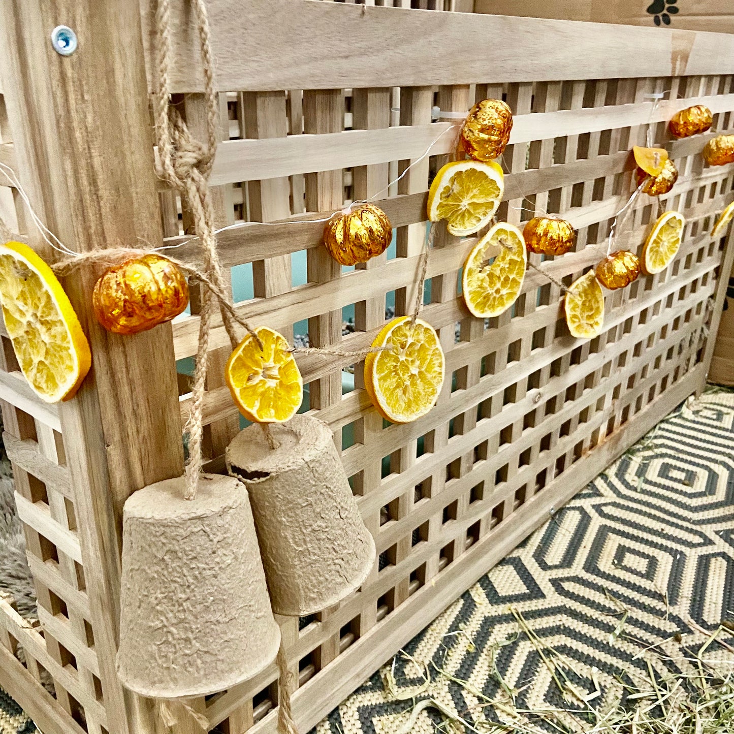 Dried Orange Garland