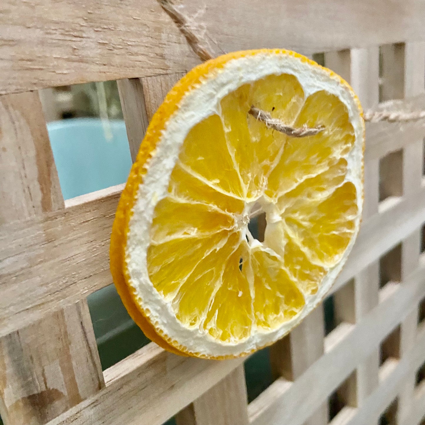 Dried Orange Garland