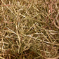 QUALITY TIMOTHY HAY