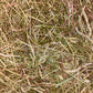 QUALITY TIMOTHY HAY