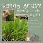 FRESH RABBIT GRASS DIY KIT