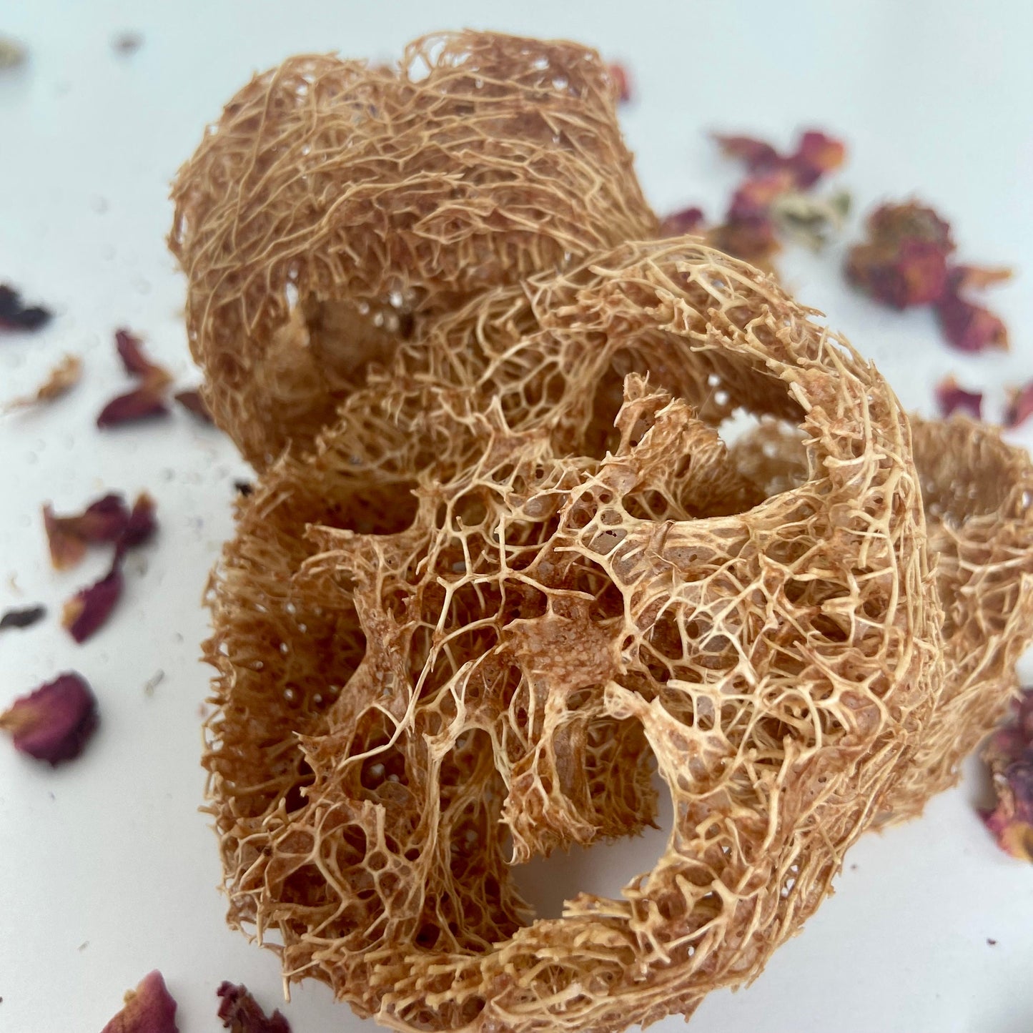 FRUIT INFUSED LOOFAH Chew
