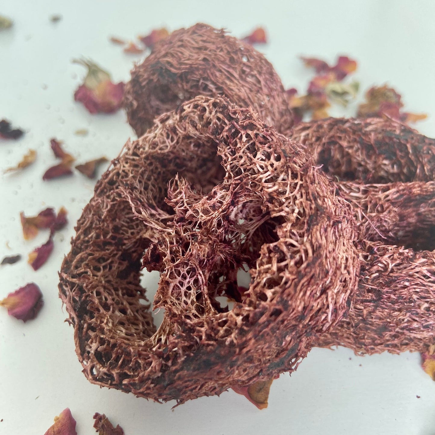 FRUIT INFUSED LOOFAH Chew